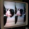 Ʒipad