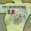 点击放大